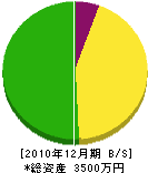 阪口組 貸借対照表 2010年12月期