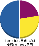 渡部昭男 貸借対照表 2011年12月期