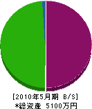 波崎電機 貸借対照表 2010年5月期
