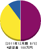 辻川看板塗装工芸 貸借対照表 2011年12月期