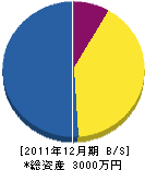 宮脇電気建設 貸借対照表 2011年12月期