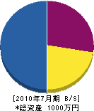 竹内塗装店 貸借対照表 2010年7月期
