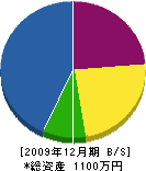 ハウジング植松 貸借対照表 2009年12月期