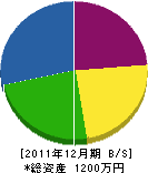 長谷川建商 貸借対照表 2011年12月期