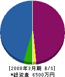 ミツワテック三田 貸借対照表 2008年3月期