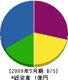 ヤシロ 貸借対照表 2009年5月期