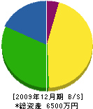 斉藤建設 貸借対照表 2009年12月期