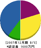 栖川サク泉 貸借対照表 2007年12月期