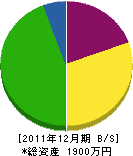 北川塗装店 貸借対照表 2011年12月期