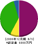 河原勇 貸借対照表 2008年12月期