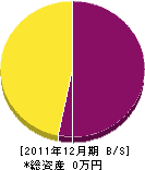 大川電気商会 貸借対照表 2011年12月期