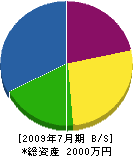 田中工業 貸借対照表 2009年7月期