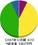 西井造園 貸借対照表 2007年12月期
