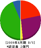 田中組 貸借対照表 2009年4月期