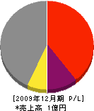 田中組 損益計算書 2009年12月期