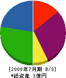 篠宮 貸借対照表 2008年7月期