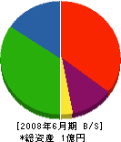 岩田設備 貸借対照表 2008年6月期