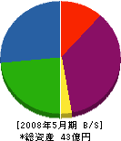 佐藤建設工業 貸借対照表 2008年5月期