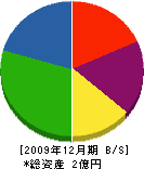 渋谷産業 貸借対照表 2009年12月期