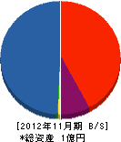 友光開発 貸借対照表 2012年11月期