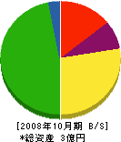 清栄 貸借対照表 2008年10月期