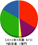 柴田建設 貸借対照表 2012年3月期