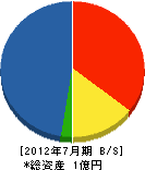 新日本エンタープライズ（同） 貸借対照表 2012年7月期