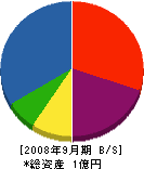遠藤建設 貸借対照表 2008年9月期