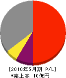 新東京ジオ・システム 損益計算書 2010年5月期