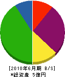 近田建設 貸借対照表 2010年6月期