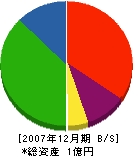 新川大清商店 貸借対照表 2007年12月期