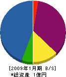 大國屋園芸場 貸借対照表 2009年1月期