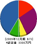 竹内造園 貸借対照表 2009年12月期