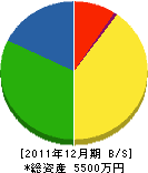日髙工務店 貸借対照表 2011年12月期