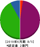 平電水設備 貸借対照表 2010年6月期