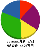 大治組 貸借対照表 2010年6月期