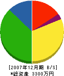 天野電気 貸借対照表 2007年12月期