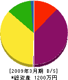 松本建設 貸借対照表 2009年3月期