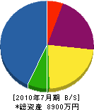 手塚組 貸借対照表 2010年7月期