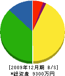 小原沢工務店 貸借対照表 2009年12月期