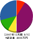 源氏園 貸借対照表 2007年12月期