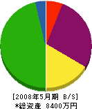 大明電気商会 貸借対照表 2008年5月期