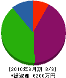 山野本興業 貸借対照表 2010年6月期