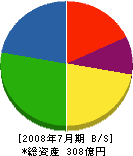 濱田重工 貸借対照表 2008年7月期