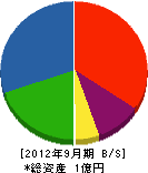 奈良県建築（同） 貸借対照表 2012年9月期