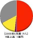 アンバー 損益計算書 2008年6月期