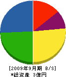 村井建設 貸借対照表 2009年9月期