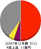 大徳電業 損益計算書 2007年12月期