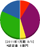 和田建設 貸借対照表 2011年1月期