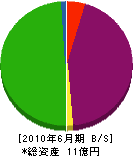 池田地所 貸借対照表 2010年6月期
